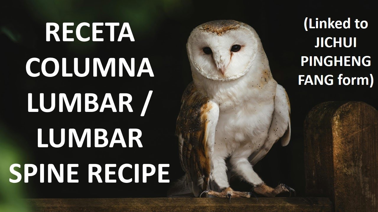 79.- Receta columna lumbar / Lumbar spine recipe (vinculado / linked to Jichui Pingheng Fang)