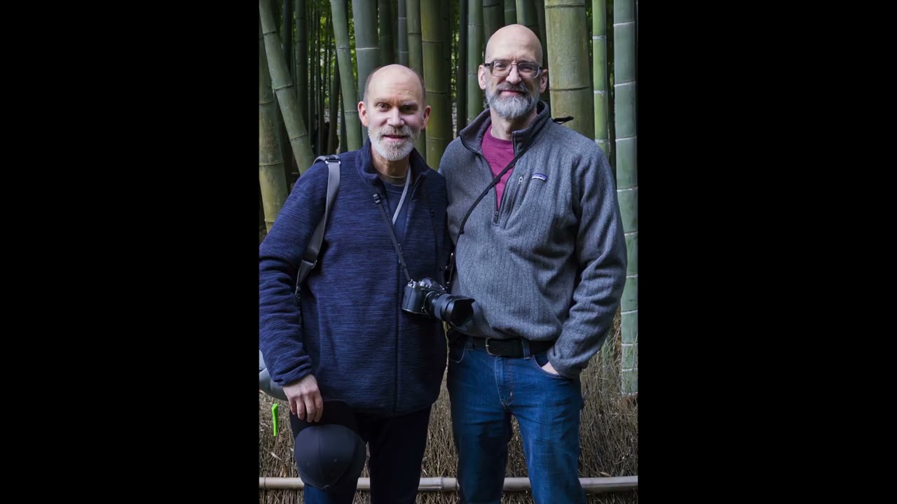 Our trip to Japan, Nov 2025