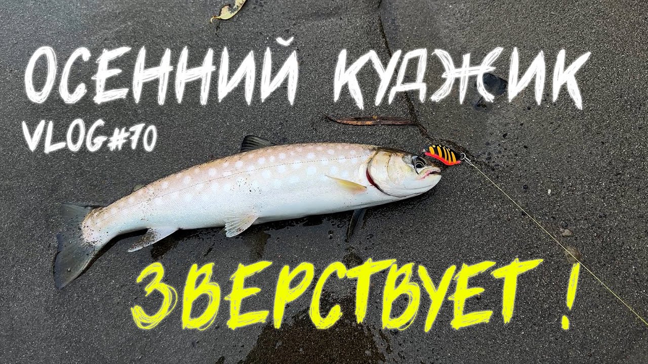ОТЛИЧНЫЙ КЛЕВ | Осенний кудж