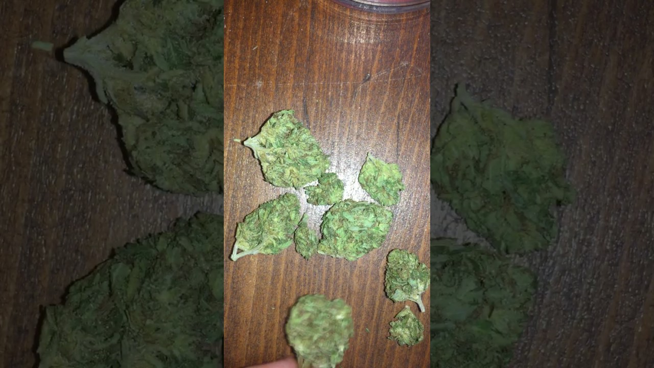 303 Kush Strain Review