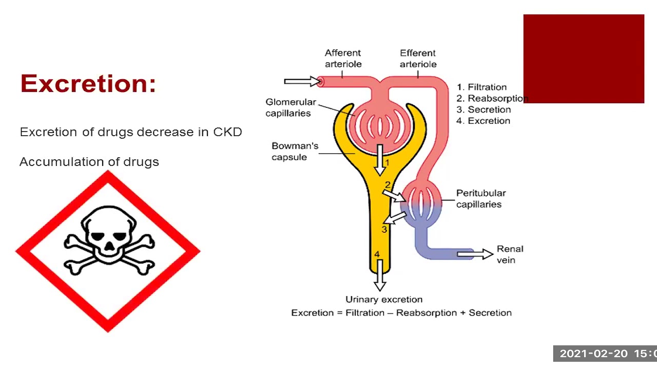 RENAL DOSE MANAGEMENT - by Ms. Javeria Khalid, Pharm-D, M.Phil Pharmacy Practice