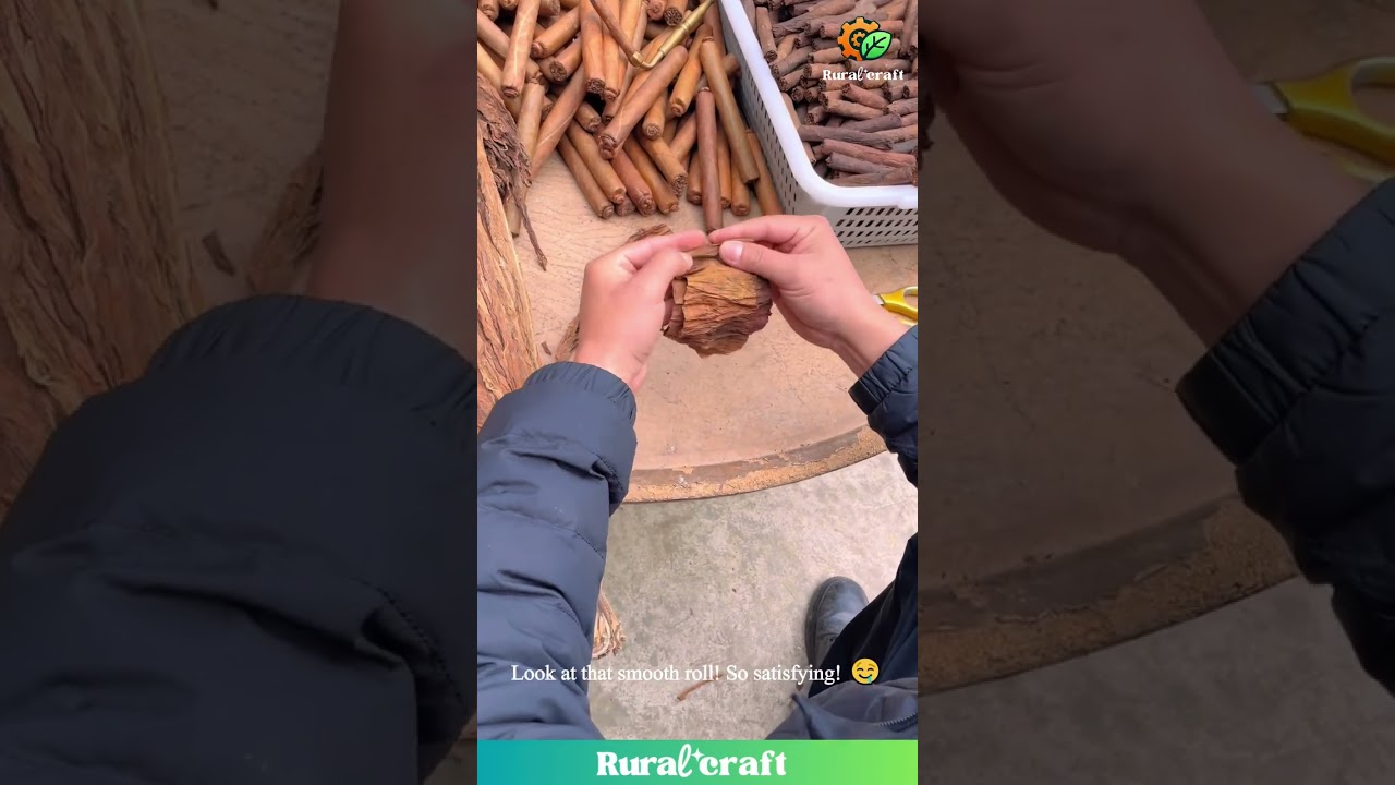 Cigar Rolling Master at Work! That Hand Roll is Smooth AF! Pure ASMR! #cigar #asmr #satisfying