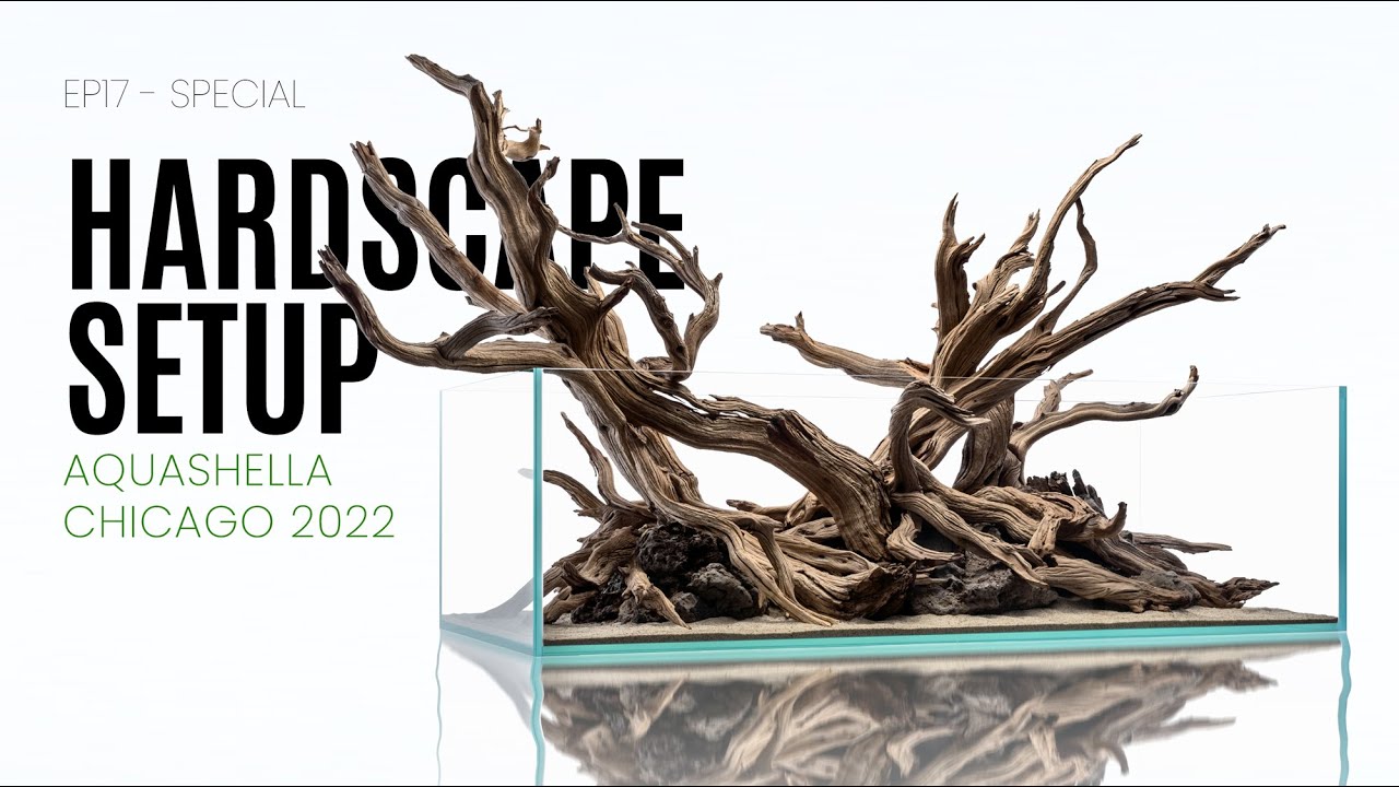 UNS 120S Planted Tank Hardscape For Aquashella Chicago 2022 - EP17 Special