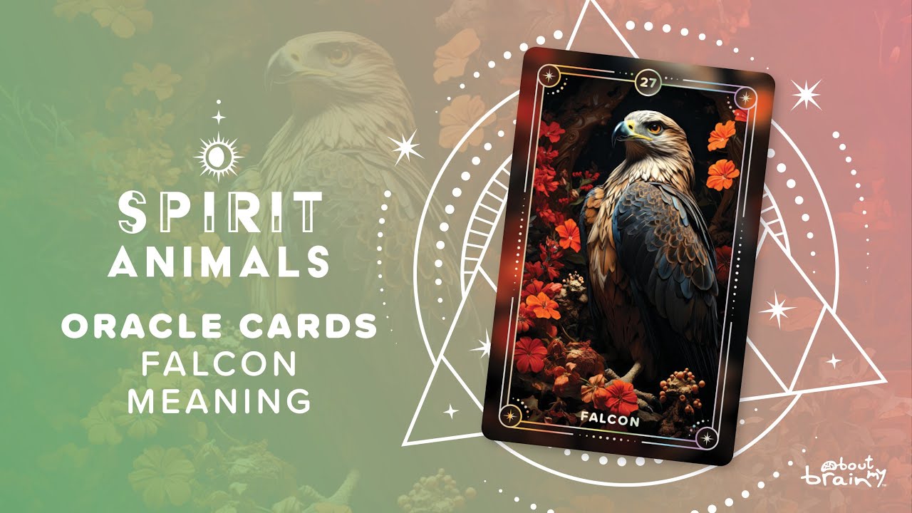 Falcon Spirit Animal | Symbolism & Meaning Explained