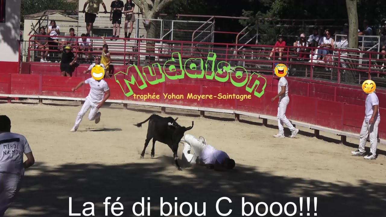 Mudaison ▶Trophée Yohan Mayere-Saintagne 2024◀ manade du Soleil🤣🤣🤣.