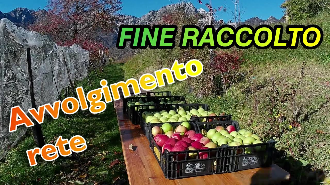 AVVOLGIMENTO RETE ANTINSETTO