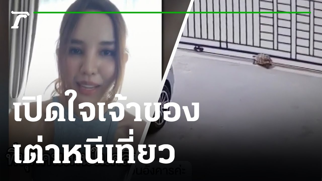 น้องปลาวาฬ เต่าหนีเที่ยวที่กำลังเป็นกระแส | 24-08-63 | ตะลอนข่าว