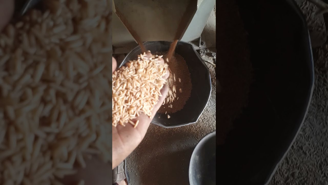 Mini Rice Mill  Rubber Roll M&aacute;quina pulidora de arroz