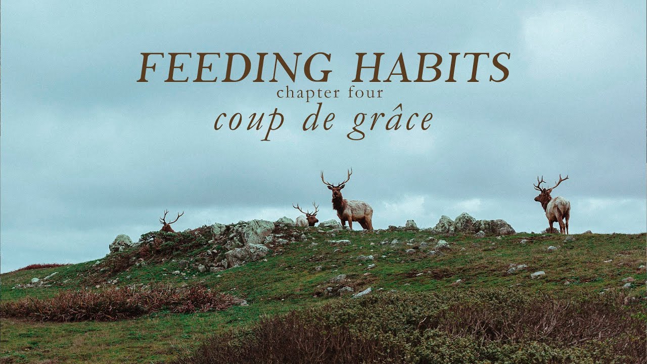 Reading you a chapter of my novel #4 | Feeding Habits [CHAPTER FOUR]