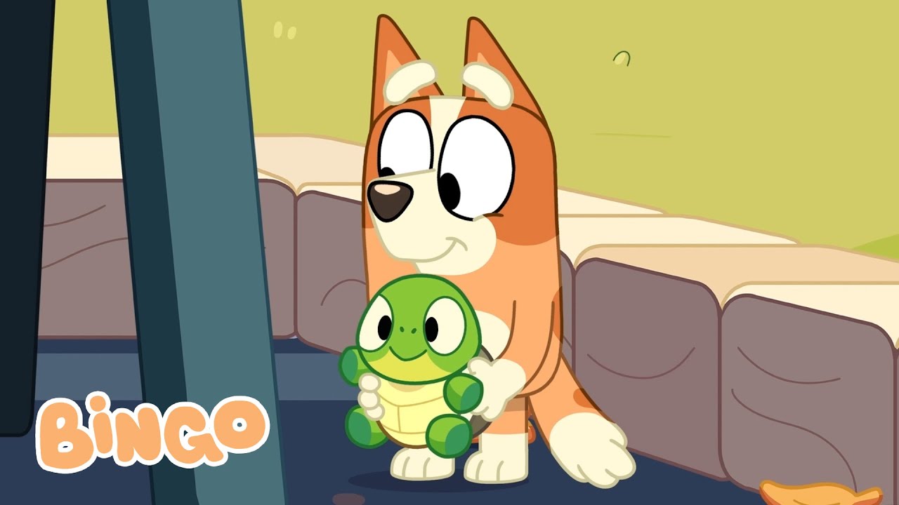 Bingo and Turtleboy 🐢 🧡 | Season 3 Highlight - Turtleboy | Bingo - Official Channel