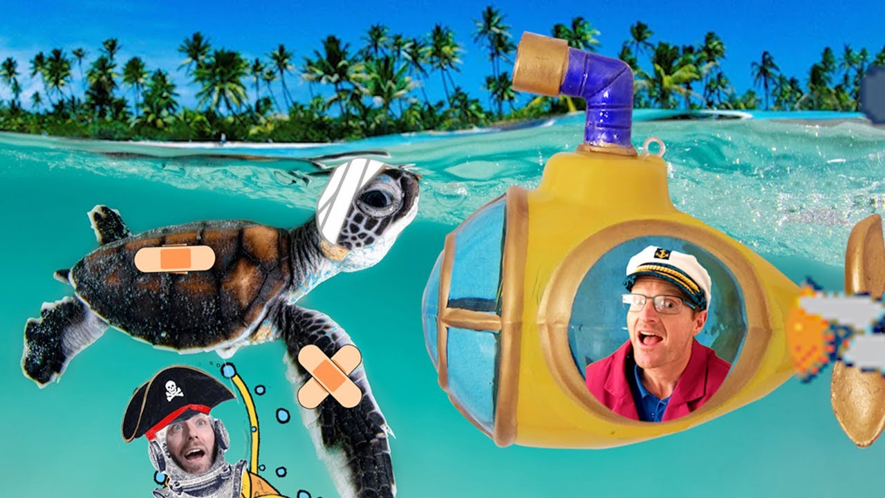 Rescued baby Turtles at the Aquarium - Dolphin Discovery Centre