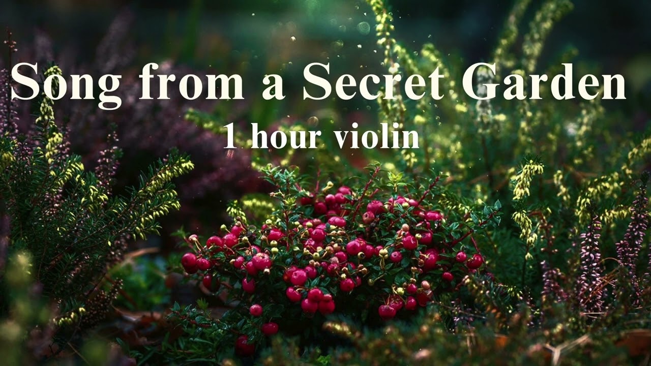 Rolf L&oslash;vland   &ndash; Song from a Secret Garden ( 1 hour for relaxation, stress relief, study, sleep )