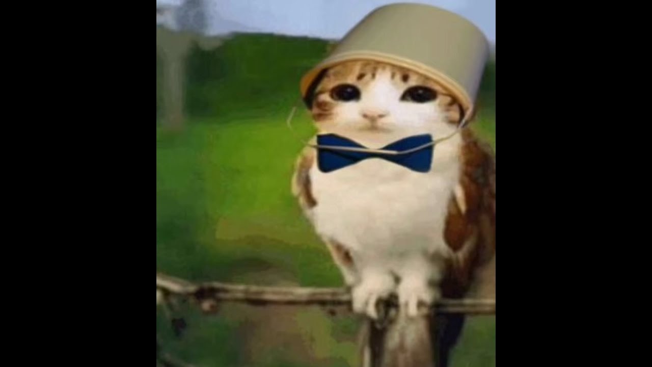 [Storytime RP] Einmal Mufasa sein