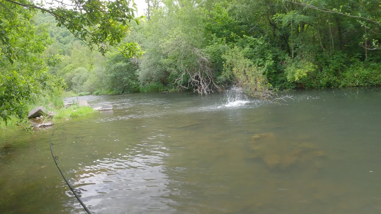 Pescando Truchas en alta montaña | Jornada Fallida de Perlas | Tº Pesca 2023