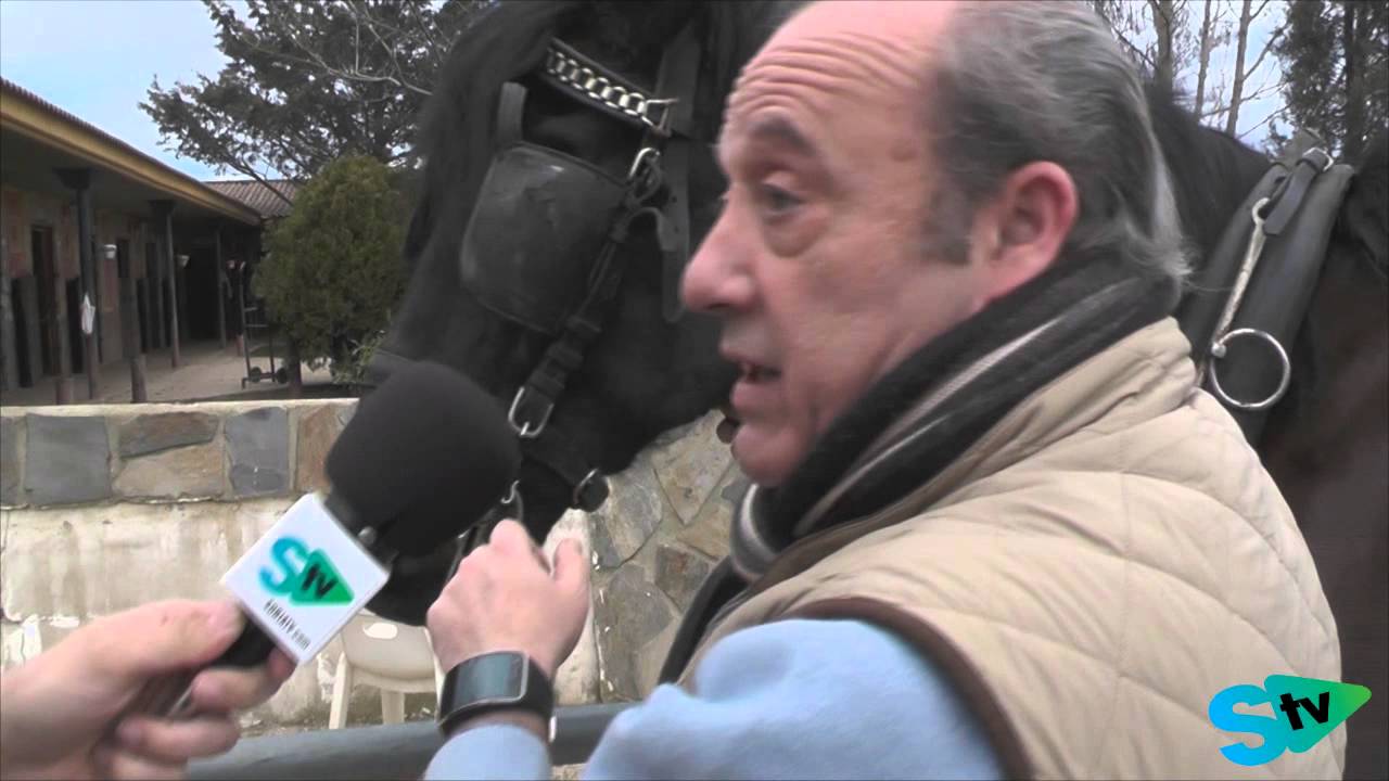 El mundo del Caballo: El carro de caballos