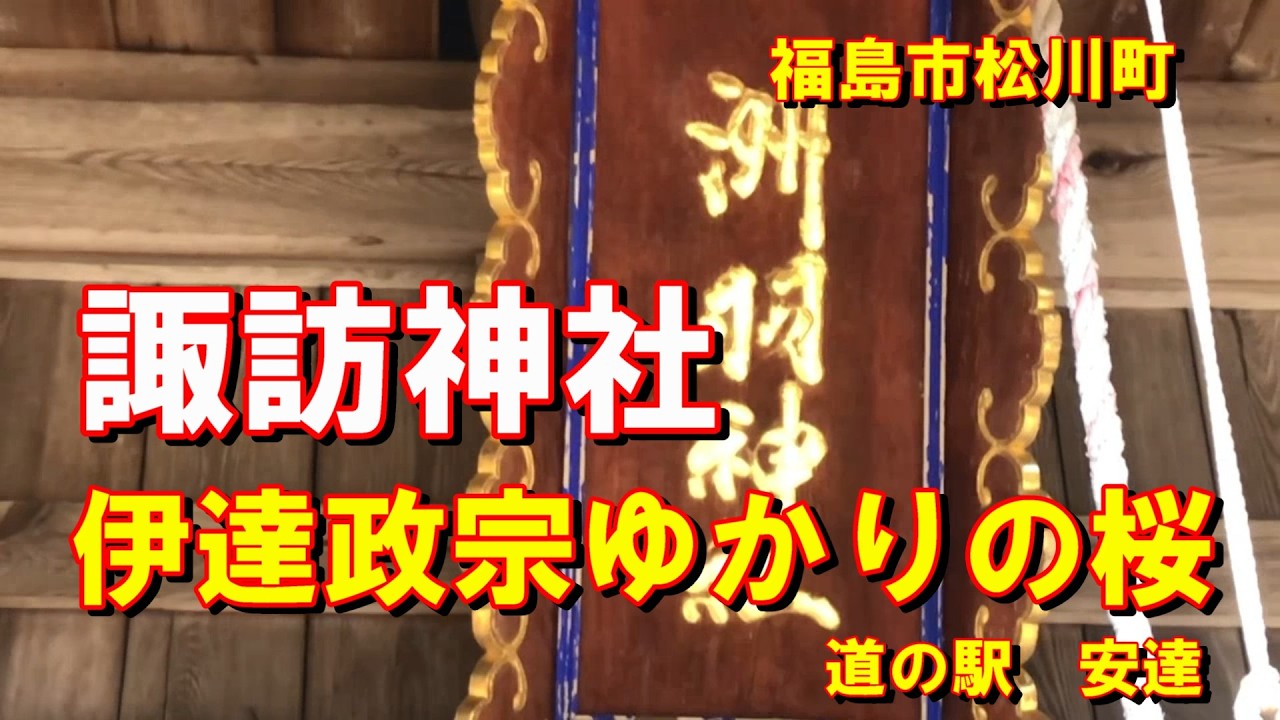 諏訪神社　福島市松川町にあります。伊達政宗からいただいたという桜の木があります。#伊達政宗#福島大学#桜