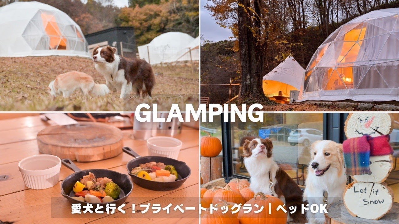 【愛犬とグランピング】関東・群馬でプライベートドッグラン付きサイトが最高すぎたのでオススメします！