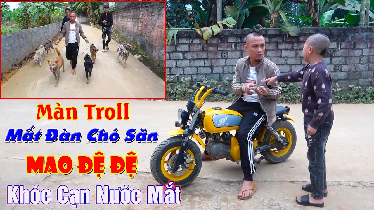 Màn Troll Mất Đàn Chó Săn Khiến Mao Đệ Đệ Khóc Cạn Nước Mắt...