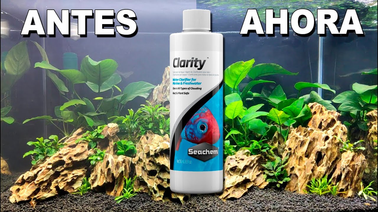 SEACHEM CLARITY: Consigue un Agua Cristalina en tu Acuario 🐠