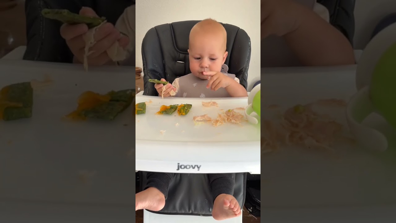 Turkey fan! 🦃 #blw #babyledweaning #babyfood #babieseating #babies #baby #mom #moms #momlife