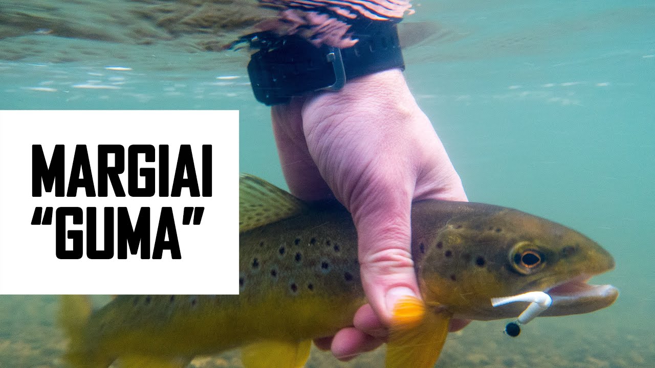 Pirmieji šalto vandens upėtakiai ir SVARBI INFORMACIJA!
