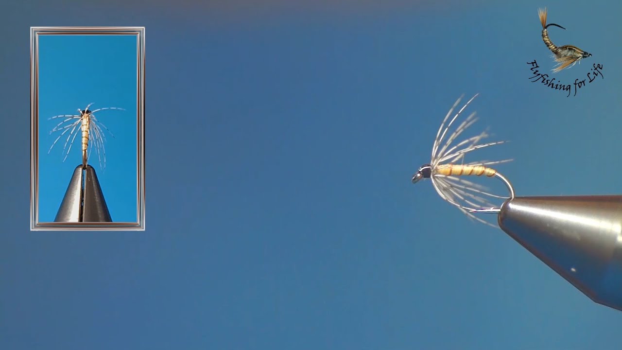 Nassfliege für Bindeanfänger