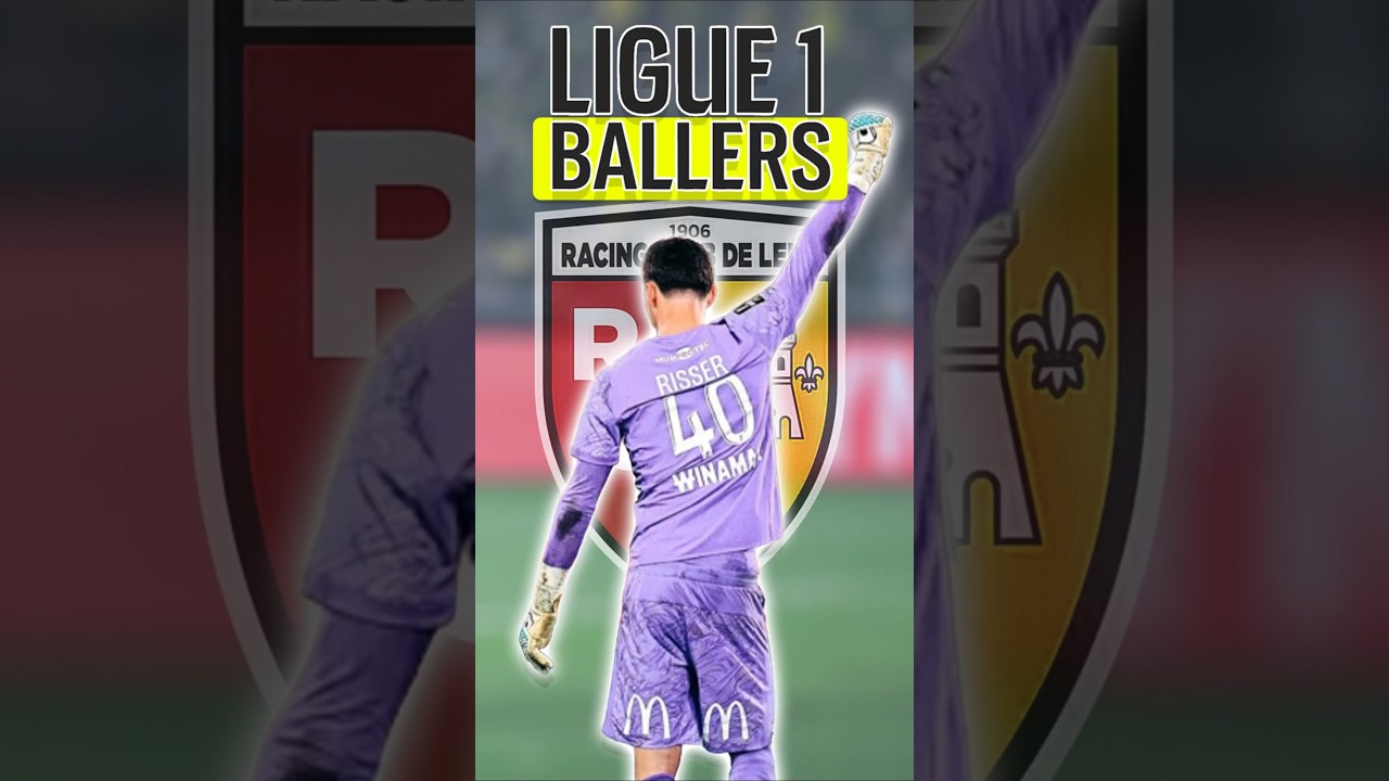 France's NEW Amazing Goalkeeper HAS To Go To The World Cup!