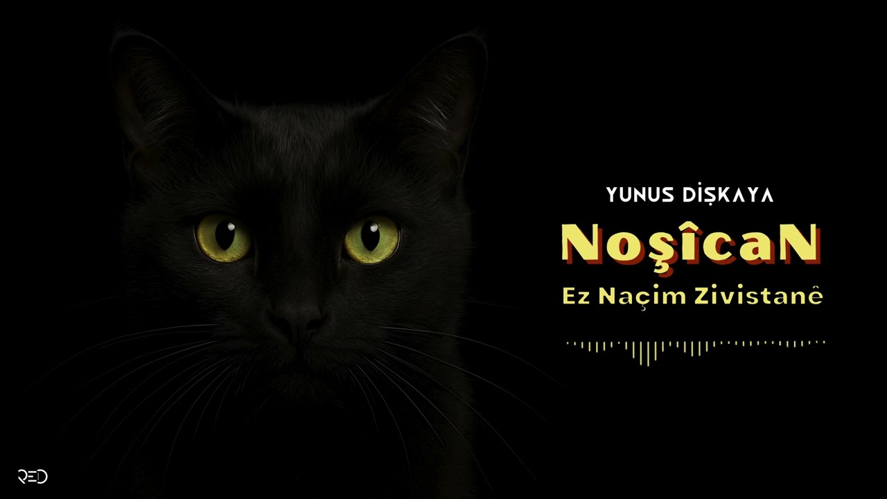 Yunus Dişkaya - Ez Naçim Zivistanê [Official Audio]