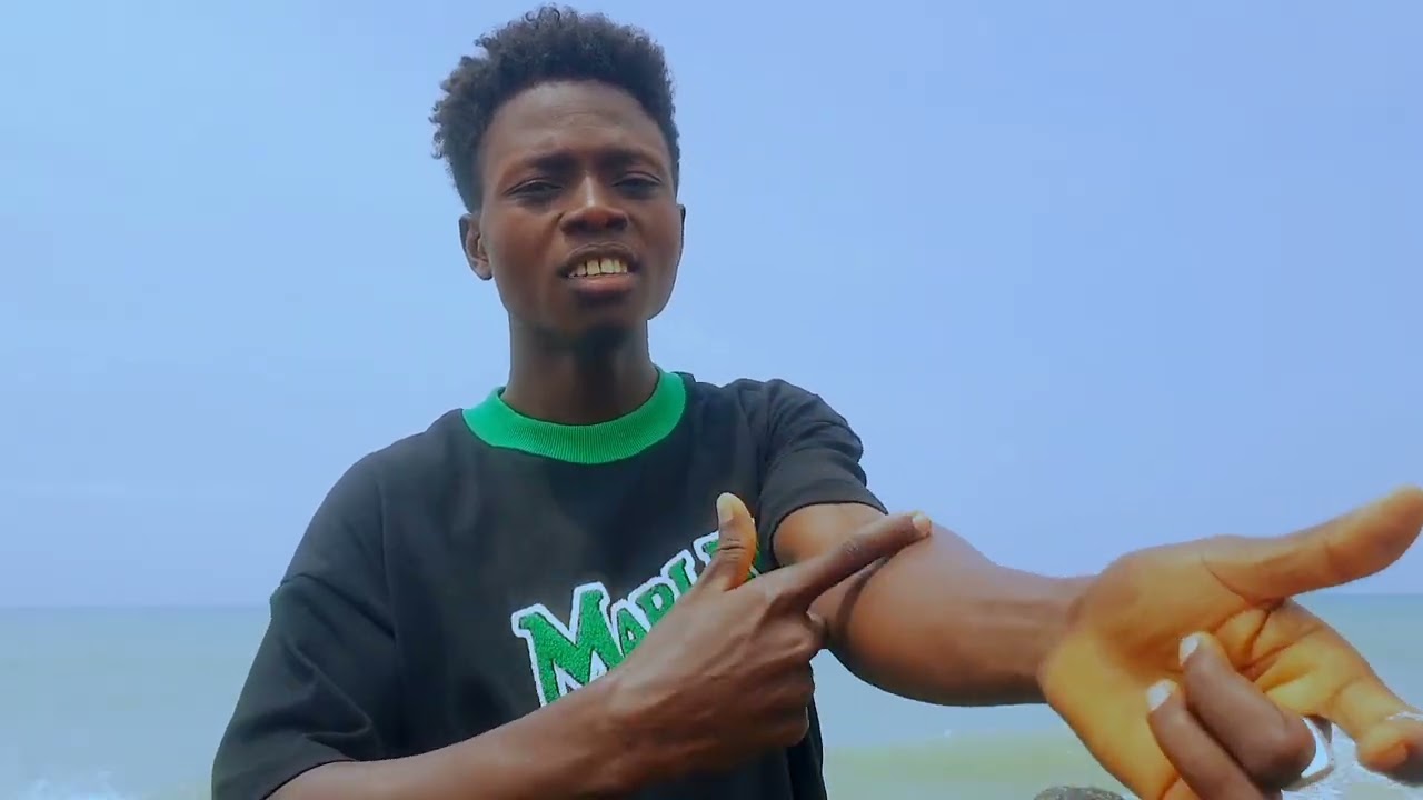SKAÏ-B FT TOLYNO BOY _-_ TOUT VA BIEN [ VISUALISER ]