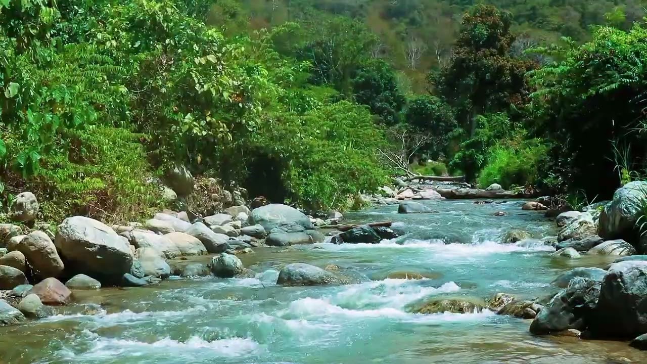 Peaceful River Flow Over Natural Stones || Evening River ASMR to Calm the Mind
