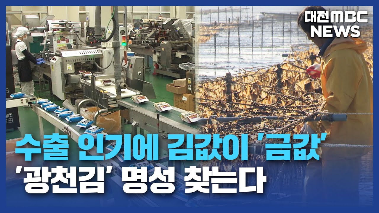[데스크]'K푸드 열풍에 금값' 광천김 수출 효자/대전MBC