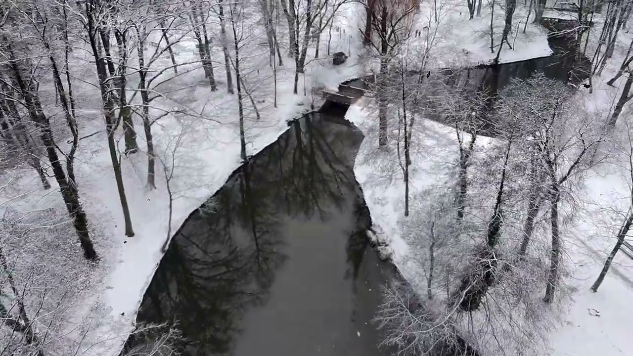 W kierunku nieba ...  Park Sołacki - trochę biały i trochę czarny …