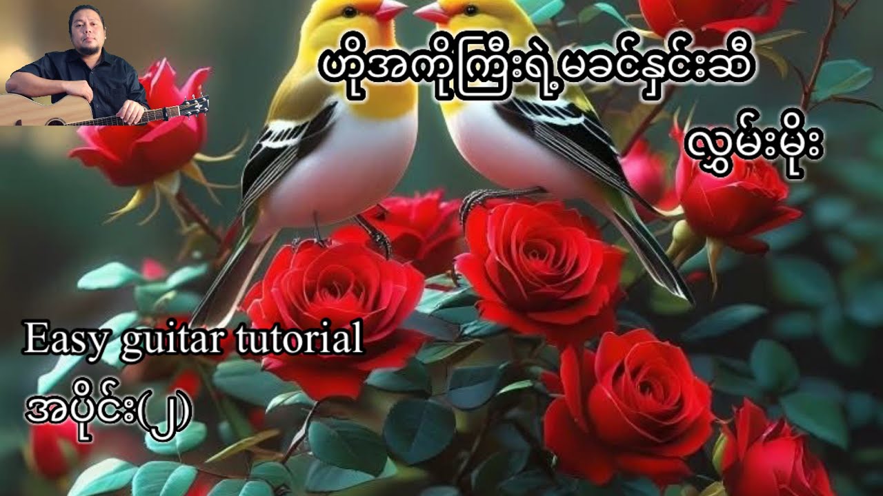 ဟိုအစ်ကိုကြီးရဲ့မခင်နှင်းဆီ - လွှမ်းမိုး - easy guitar tutorial အပိုင်း(၂)