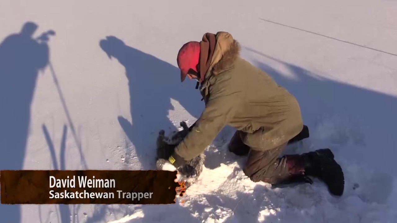 Trapping Inc Ep5 S3 Saskatchewan Road Trip for beaver!