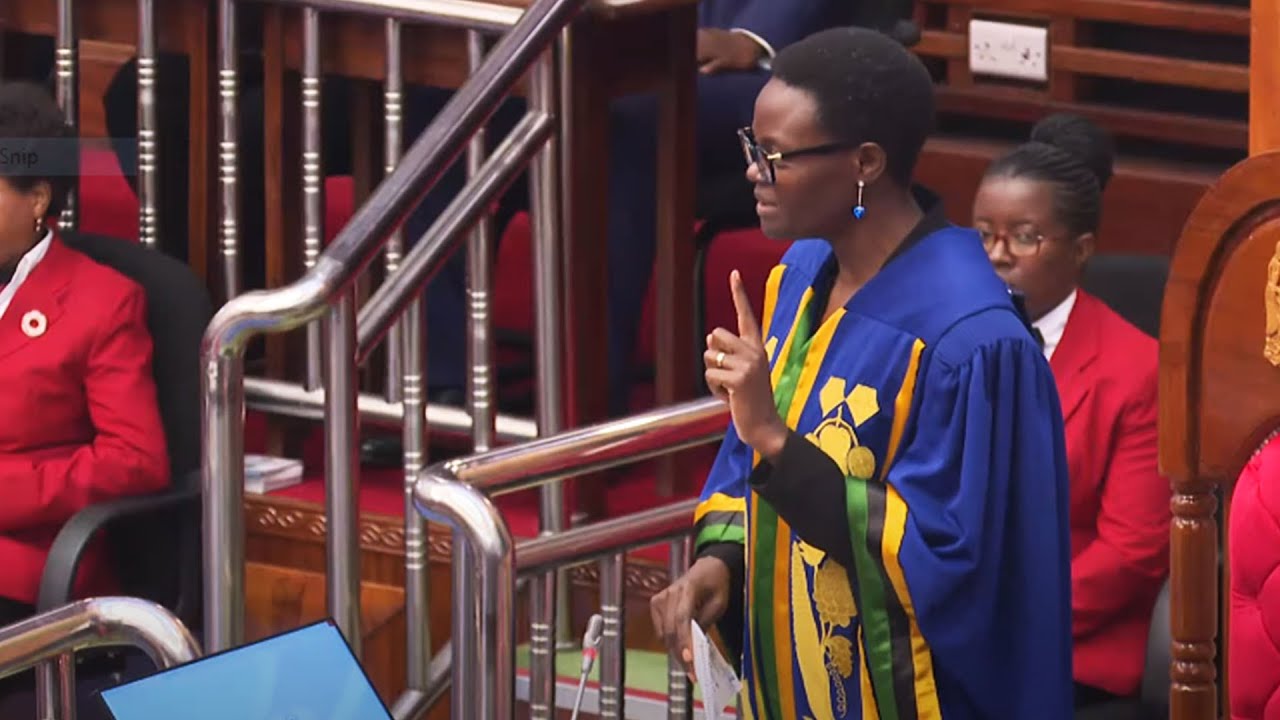 Spika Tulia awapa maagizo wabunge kuhusu Loliondo na Ngorongoro | Afafanua A-Z