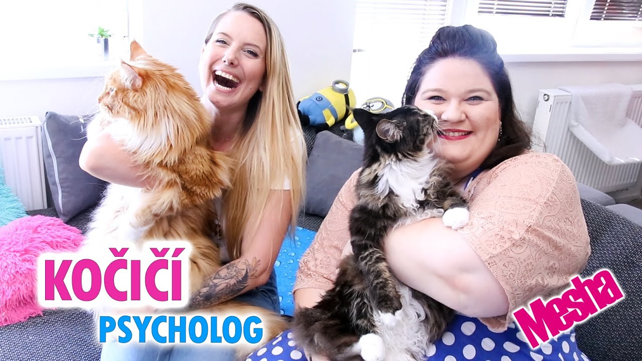 KOČIČÍ PSYCHOLOG U NÁS DOMA! ●  KLÁRA NEVEČEŘALOVÁ 😺