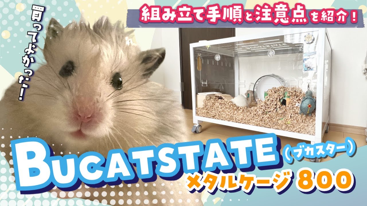 巨大！BUCATSTATE（ブカスター）のハムスター800ケージを組み立ててみた！【手順や注意点を徹底解説】