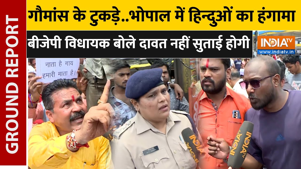 Gau Taskari in Bhopal: बजरंग दल ने पकड़ा मांस से भरा ऑटो ! CM Mohan Yadav से फांसी की मांग | MP