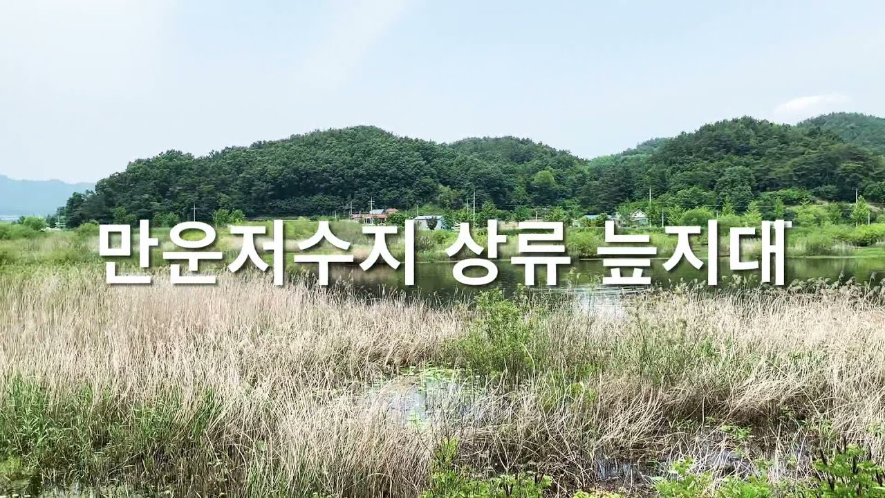 [안동 마을구경] 풍산읍 만운리 | 방대미 | 못대미 | 평지 | 조파 | 만운저수지 | 망서루 | 모선루 | 효자각 | 호암,모암 바위각자 | 저수지 상류 늪지대 등