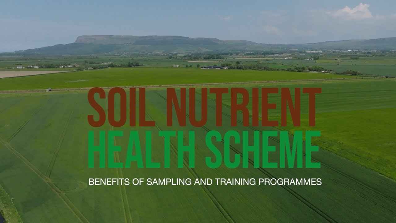 SNHS:  Alistair Craig, Carsehall Farm