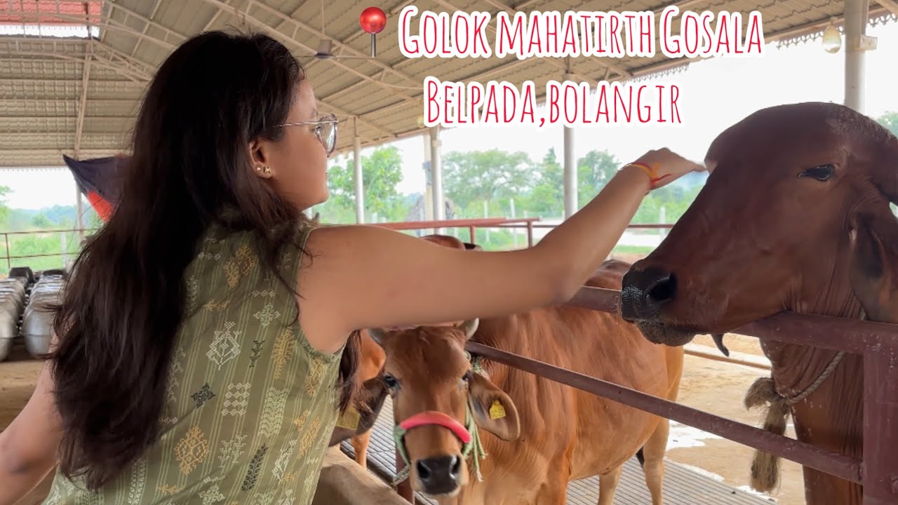 Ek din Goseva ke naam – parivaar ke saath anand aur shanti ka anubhav