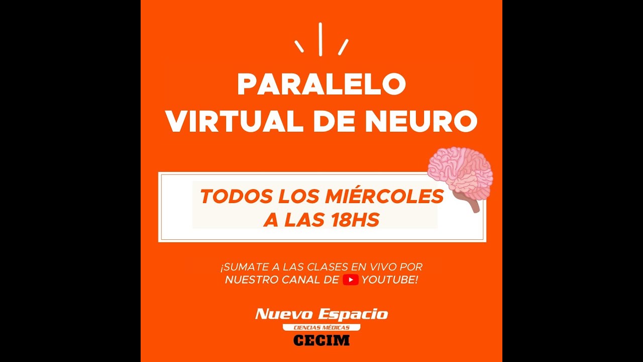 PARALELO DE ANATOMÍA: GENERALIDADES, MÉDULA ESPINAL Y MENINGES