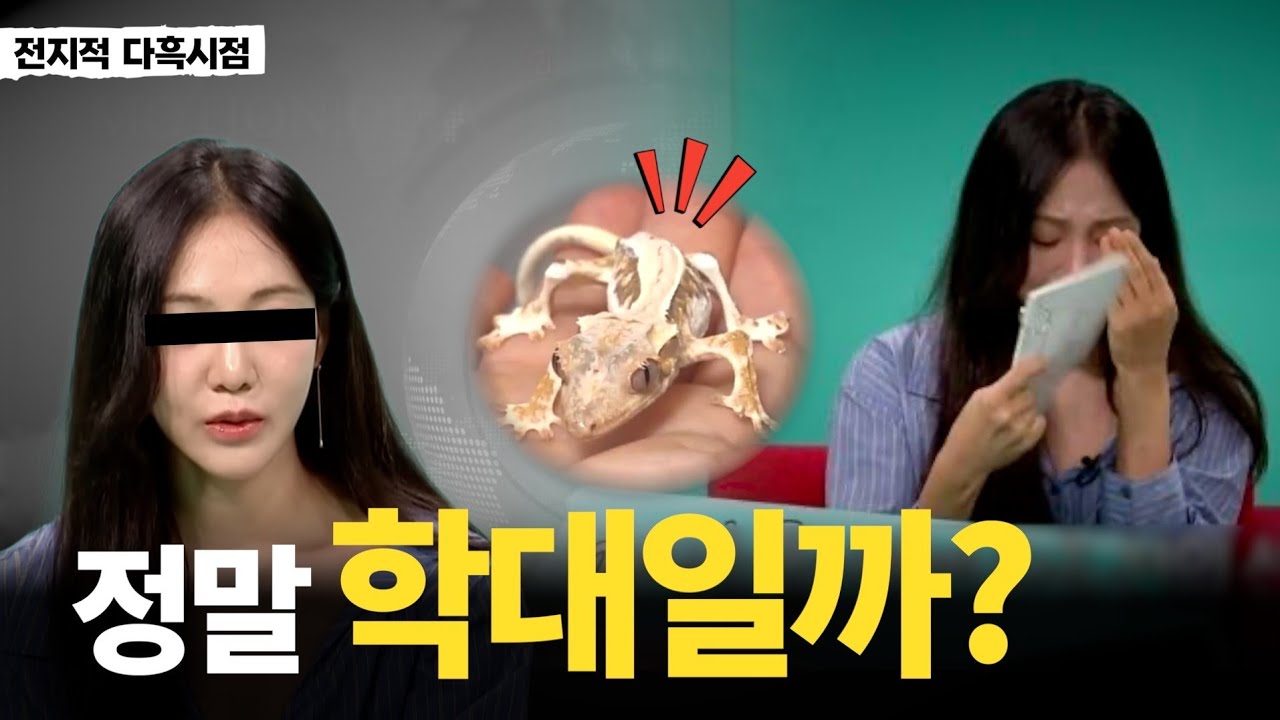 고민 많았습니다... 전참시 해골도마뱀의 원인이 무엇일까요?