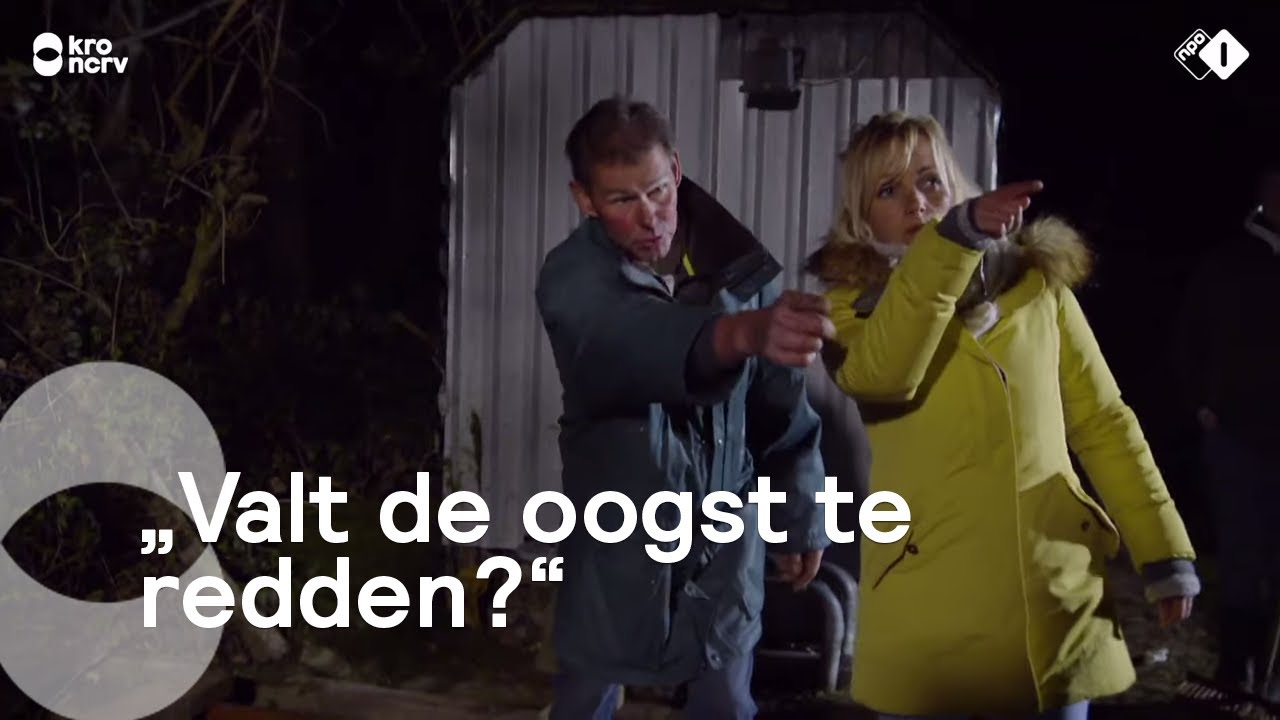 Hoe bescherm je fruitbloesem tegen nachtvorst? | Onze boerderij
