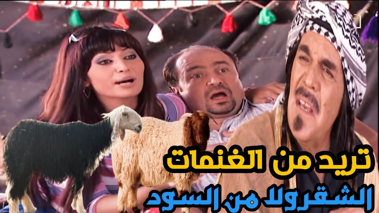 راح عالباديه لحتى يشتري خاروف كبير لأنو مرتو نادرا نذر بس شوفو شوبيصير فيه راحت عليه😂