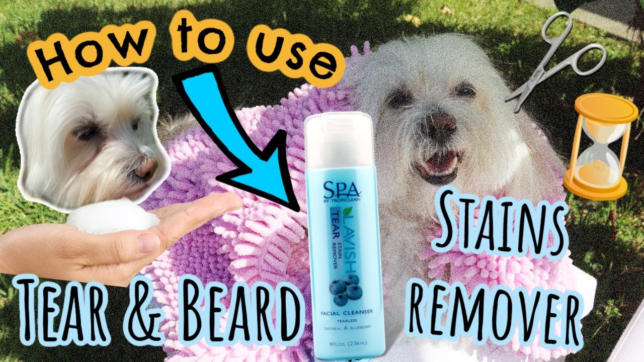 SPA Tropiclean HOW TO USE the Eye & Beard Stains Remover I lorentix