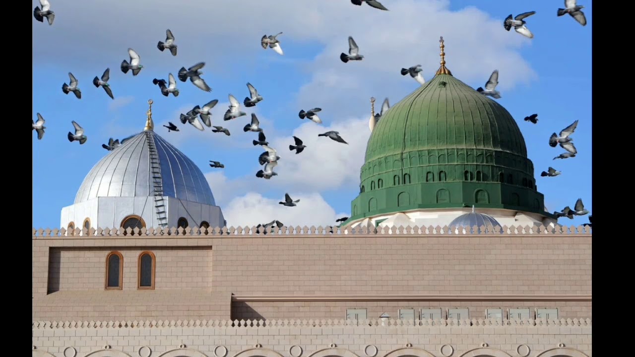 قصيدة صلو على محمود راعي الكرم و الجود ـ بصوت المداح ـ عبدالكريم قاسم المحمدي