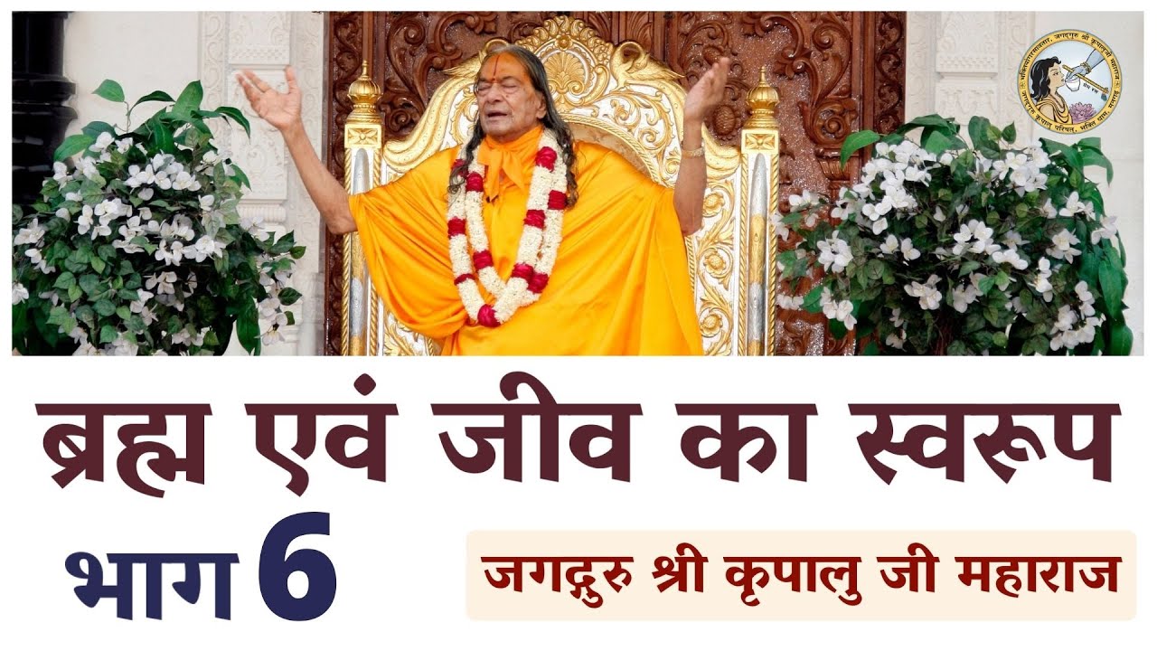 ब्रह्म एवं जीव का स्वरूप | #6 | Jagadguru Shri Kripalu Ji Ke Pravachan