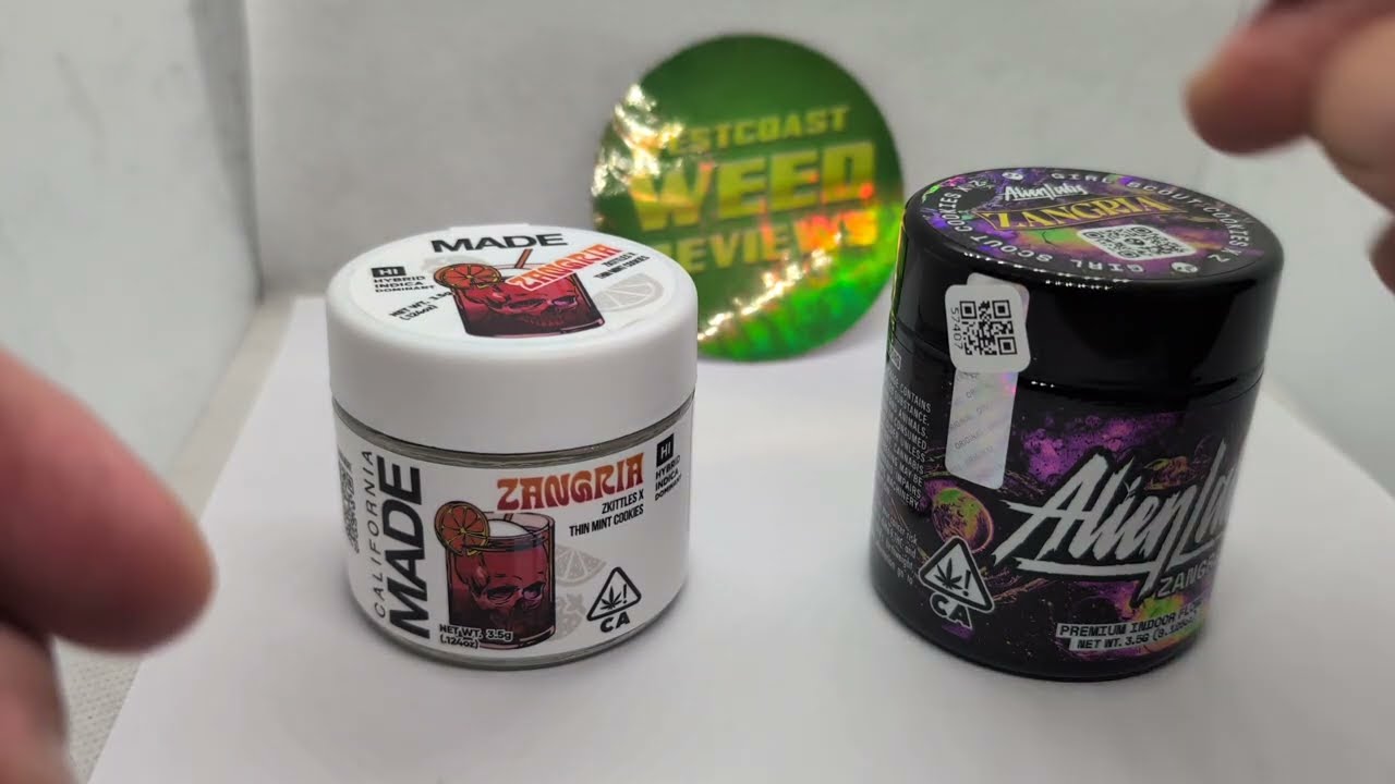 Head to Head - Zangria: Alien Labs vs Made