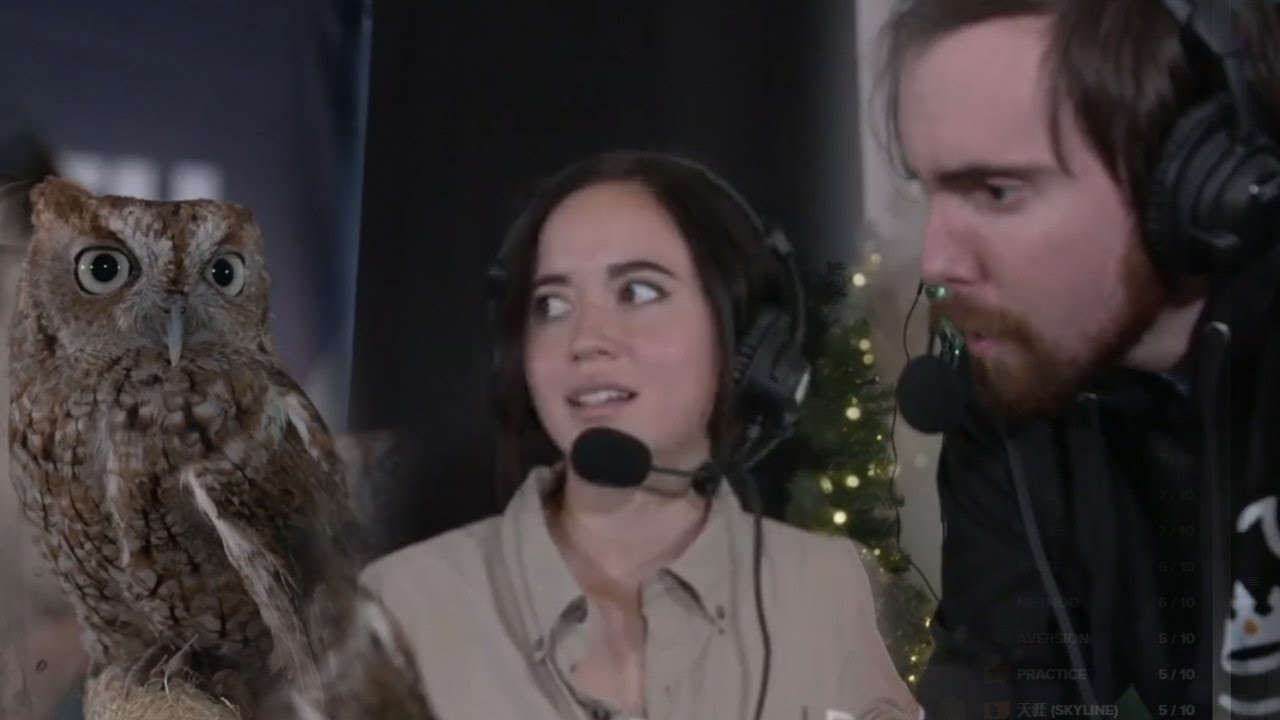 Maya on asmongold OTK stream with animals! Dec-17 Twitch Stream